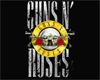 Guns n Roses Logo Pic
