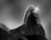 TIARA*PANTERA NEGRA