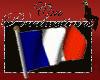 Anim.French Flag sticker