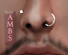 Nose Piercings | Silver