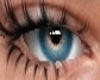 Eyes Bluee F/M