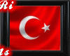 AyYildizYUZUK [OTTOMAN]