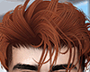 ♛ Kefiro Ginger.