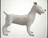 Tintin Dog Snowy Pet