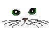 Kitty face animated