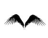 Void Angel Wings