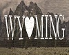 Wyoming Art 4