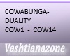V-COWABUNGA-DUALITY