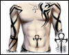 [DB] Ankh Tatoo1