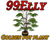 Golden pot plant