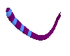 blue an purple tail