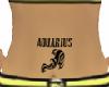 Aquarius Belly Tattoo