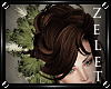 |LZ|Victorian Hair Feath