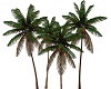 Palm Tree 14
