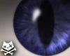 Blueberry Cat/Fox Eyes M
