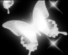 Shimmer Butterfly V2
