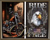 Harley Davidson Pics III