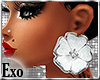 Exo|FLOWER WHITE Earring
