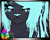 C; Dusteh Lexi