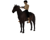 Matth Horse Riding 20 P