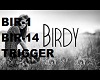 Birdy Wings (lyrics)
