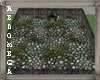 Wild Animal Pen