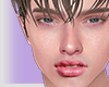 CARLO Head