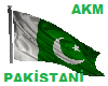 flag Pakistani