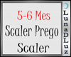 Lu)Prego Scaler 5_6 Mes