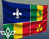 Hanging LA Creole Flag