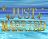 Just Married Decor