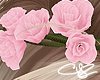 !CYZ Pastel Sweet Rose