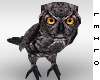 ! L! Piper's Owl