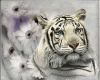 White Tiger animated