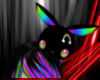 ~N~ Black Rainbow Bunny
