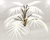 Office Palm Plant