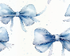 Costal academy bows