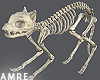 Skelly Cat
