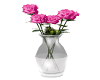 Roses Pink in Vase