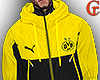 Jacket Borussia Dortmund
