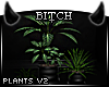 !B Desire Plants v2