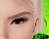 Z! Realistic Brown
