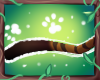 K! Marito | Tail V2