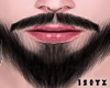 Z. Brba V1