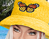 [YC] Honey Hat