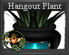 Hangout Plant