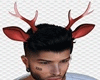 [H] Reindeer  horn