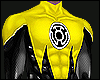 Sinestro Suit