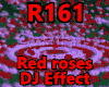Red roses DJ Effect