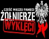 Polska Walczaca 1